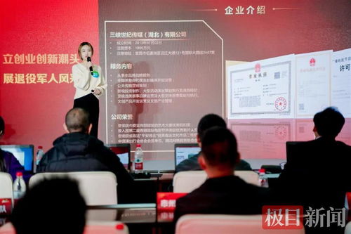宜昌軍創(chuàng)企業(yè)閃耀“軍創(chuàng)杯”，躋身全省三強(qiáng)并賦能文化藝術(shù)交流